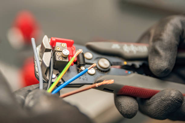 Best Local Electrician Companies  in Ruhenstroth, NV